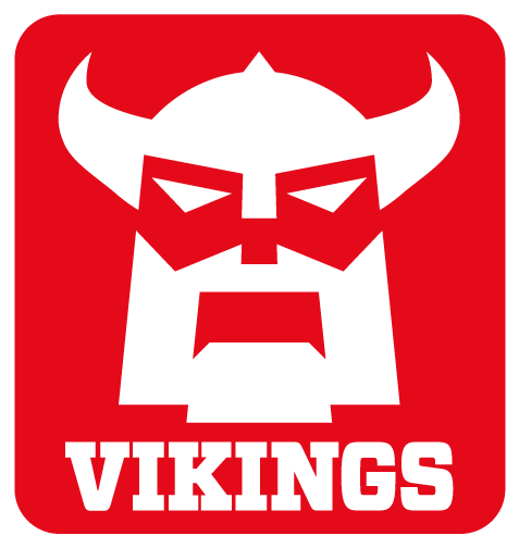 Logo La Vikings Academy